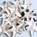 Craft Starfish